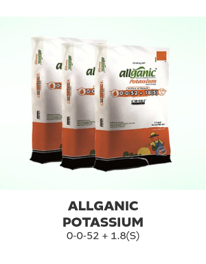 allganic-potas